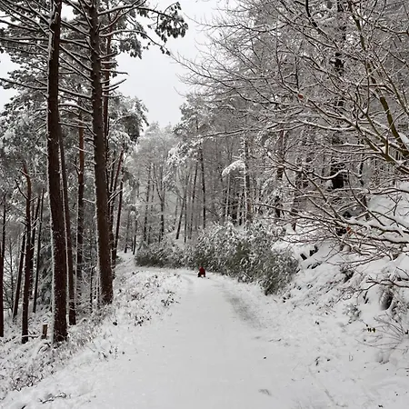 Bonne Ame - Mit Sauna