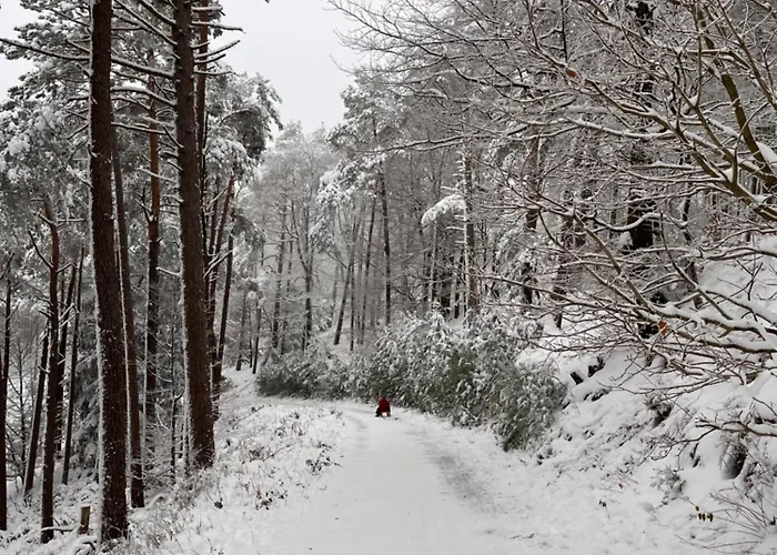 Bonne Ame - Mit Sauna